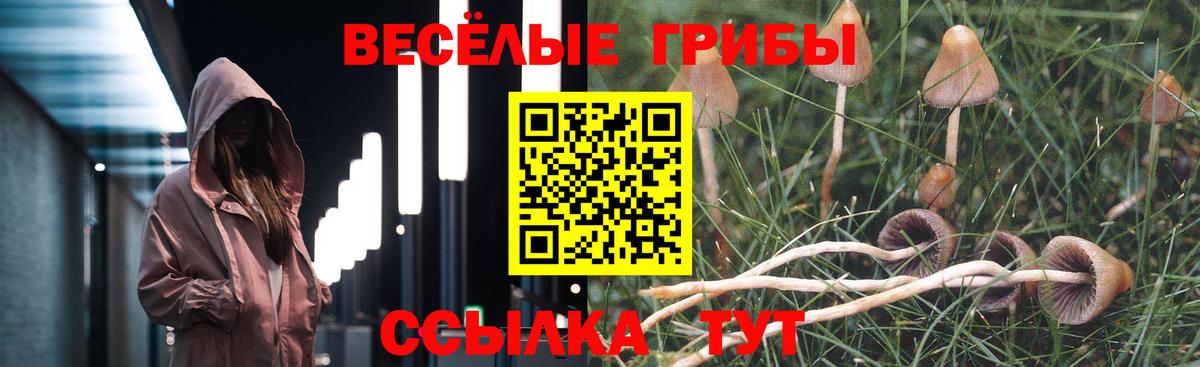 МДМА  Прохладный  МЕФ кристаллы  Гашиш  Вход с VPN  Марихуана  А ПВП СК   Лсд 25 