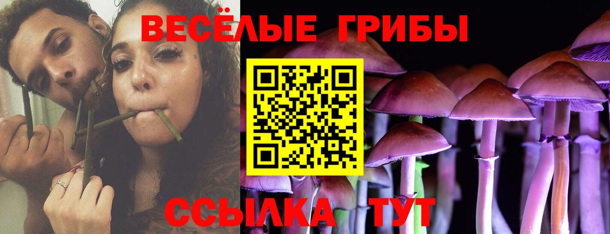 Псилоцибиновые грибы GOLDEN TEACHER Прохладный