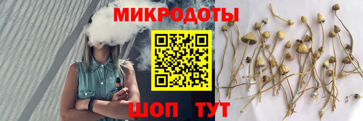 Прохладный  Псилоцибиновые грибы ЛСД  Вход с VPN 